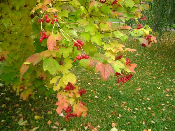 Doğanın güzel doğası
