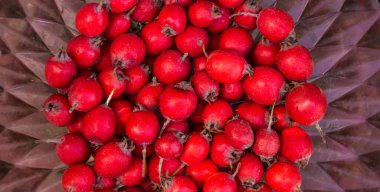 Gül kalçalar, gül kalçalar, gül kalçalar. Şifalı bitkilerin ve şifalı bitkilerin bileşimi. Bir geminin kırmızı meyveleri, yakından.