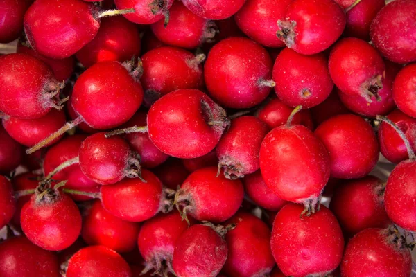 Rose hips, rose hips background, types of rose hips. The composition of medicinal plants and herbs. Scarlet berries of a shipshina close up — Stock Photo, Image