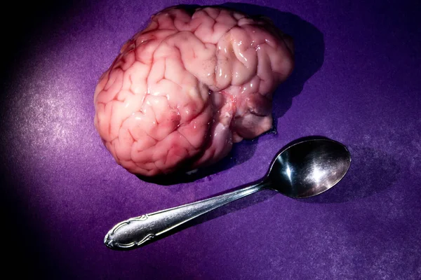 Raw bloody brain lies on a dark purple background next to a teaspoon. Eat out the brain, take out the brains, the relationship of a woman and a man