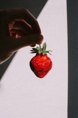 Beyaz arka planda olgun kırmızı çilekler. Beyaz arka planda izole edilmiş sağlıklı, olgun çilek ve sağlıklı, temiz yemek kavramı olan bir kadın eli..