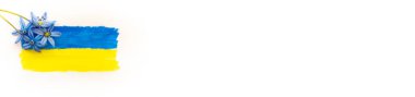 Beyaz arka planda sarı ve mavi Ukrayna bayrağı, yazı için yeri olan pankart. Ukrayna bayrağı mavi ve sarı renklerle çizilmiştir. Ukrayna bayrağında mavi çiçekler. Savaş yok..