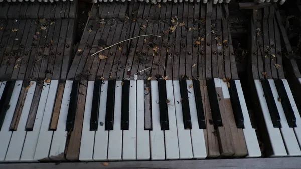 Piano Keyboard Entrance Halloween Cafe — Stock Photo, Image