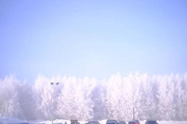 Árvores Cobertas Neve Hoarfrost Uma Estância Esqui Elevador Funicular Teleférico — Fotografia de Stock