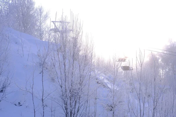 Schneebedeckte Bäume Raureif Einem Skigebiet Lift Seilbahn Skilift — Stockfoto