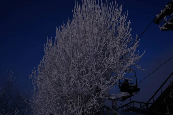 Kar Örtülü Ağaçlar Kayak Merkezinde Kaldırma Füniküler Kayak Kaldırma — Stok fotoğraf