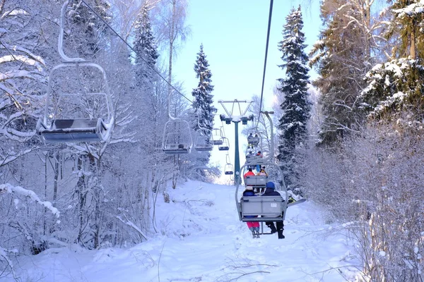 Árvores Cobertas Neve Hoarfrost Uma Estância Esqui Elevador Funicular Teleférico — Fotografia de Stock