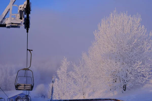 Ośnieżone Drzewa Mrozie Ośrodku Narciarskim Wyciąg Kolejka Linowa Wyciąg Narciarski — Zdjęcie stockowe