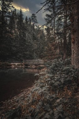 Gölün ortasındaki bir köprü manzarası.