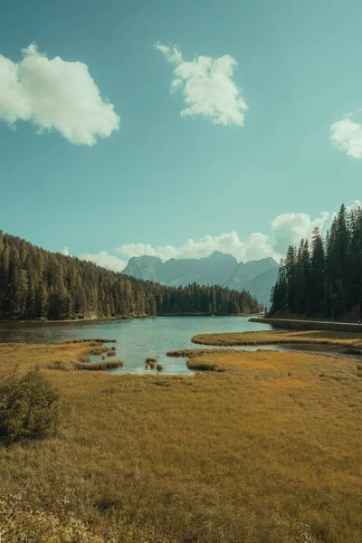 Bir çayırın ortasında, ağaçlar ve dağlarla çevrili bir göl manzarası