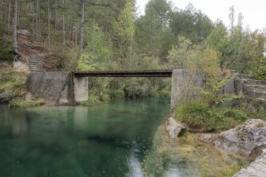 Landscape of a bridge in the middle of a forest with a river