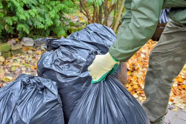 Bahçe işçisi eldivenli eller ve toplanan yapraklarla birlikte siyah plastik torbalarla bahçeyi temizlerken