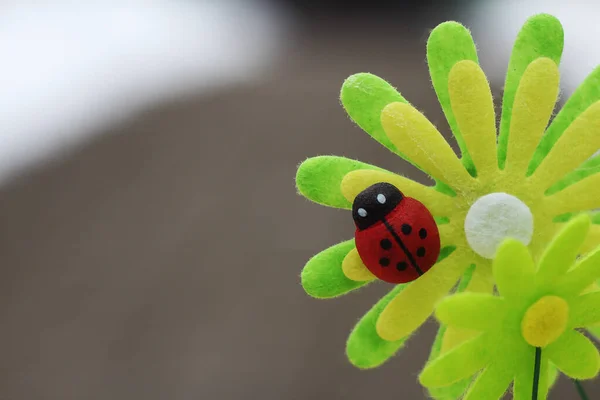 Dekoratív Katicabogár Virág Semleges Homályos Háttérrel Babakártya Dizájn Másolási Hellyel — Stock Fotó