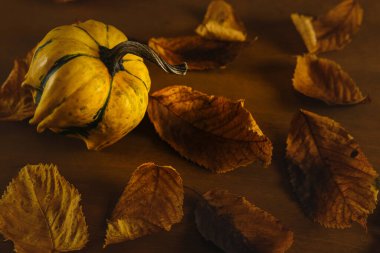 Dekoratif balkabağı bulanık sonbahar kuru yaprakları, sonbahar kompozisyonu ve Şükran Günü için ev dekorasyonu, Cadılar Bayramı tatili.