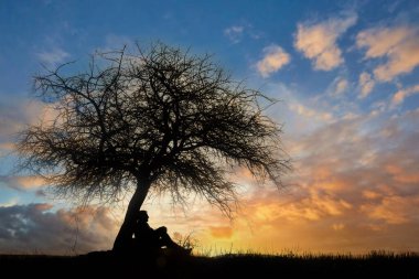 man sitting under the tree at beautiful sunset
