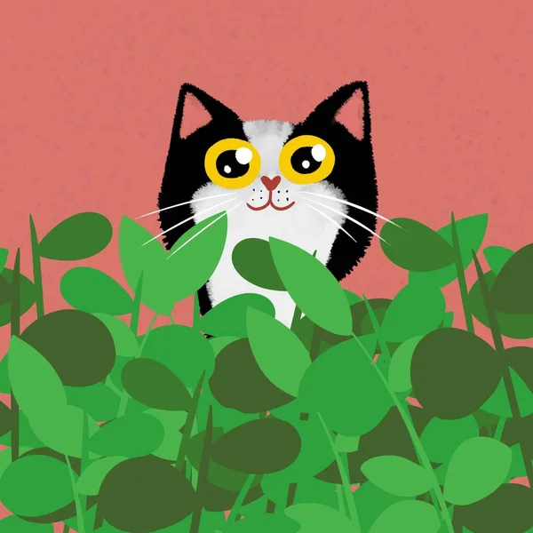 Χαριτωμένη Φιγούρα Σμόκιν Γάτα — Φωτογραφία Αρχείου