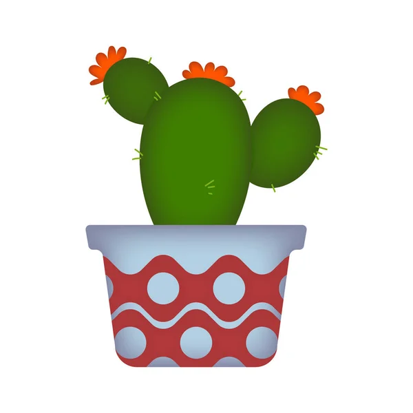 Cactus Ornemental Pot Illustration Dessin Animé — Photo