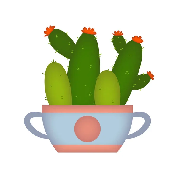 Cactus Ornamentales Maceta Ilustración Dibujos Animados —  Fotos de Stock