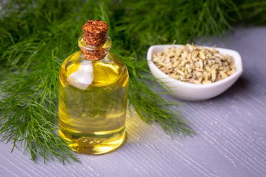 Rezene önemli petrol taze yeşil rezene twigs ve rezene tohum içinde belgili tanımlık geçmiş ile bir şişe