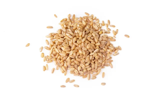 Cereali Frumento Crudo Biologici Fondo Bianco — Foto Stock