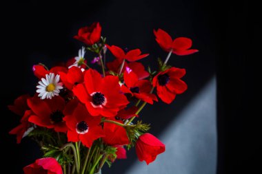 Siyah arka planda kırmızı şakayık çiçekleri ve kır çiçekleri