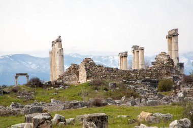 Afrodisias Antik Şehir. Tanrıça Afrodit 'e adanmış birçok antik şehrin ortak adı. Afrodizyak adı verilen en ünlü şehirler..
