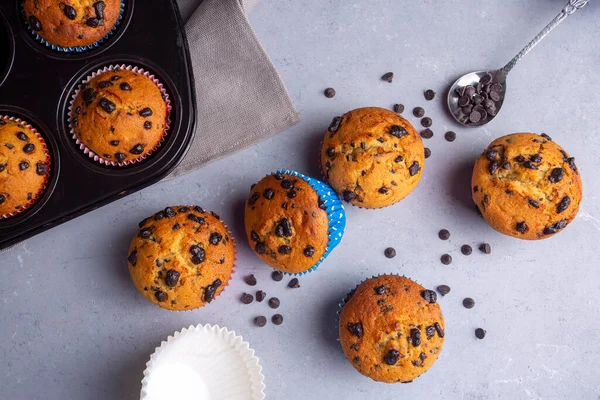 Chocolate Chip Muffins Teller Auf Hellgrauem Hintergrund — Stockfoto