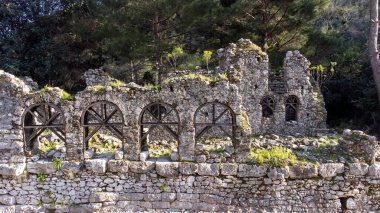 Türkiye 'nin Olimpos kentindeki Lycian kasabasının antik kalıntılarına bakın.