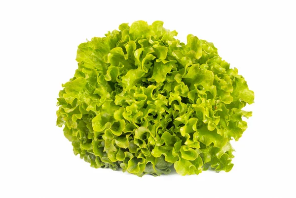Green Fresh Curly Lettuce Leaves Isolated White Background — Stock Photo, Image