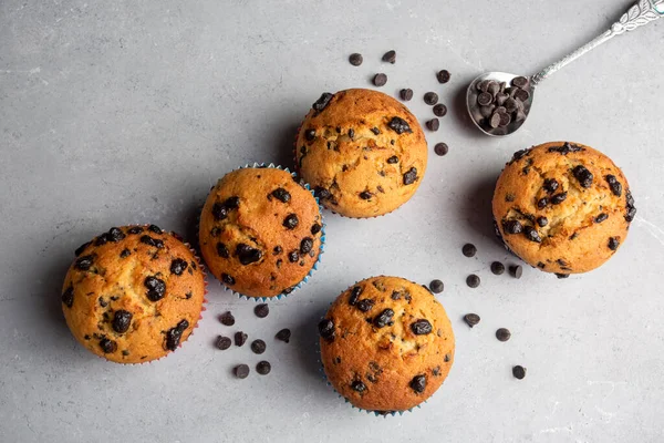 Chocolade Chip Muffins Plaat Lichtgrijze Achtergrond — Stockfoto