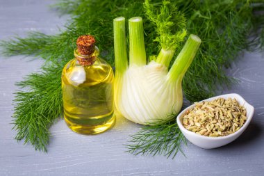 Rezene önemli petrol taze yeşil rezene twigs ve rezene tohum içinde belgili tanımlık geçmiş ile bir şişe