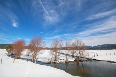 Stream flowing in forest in snowy winter season, Bolu - Turkey