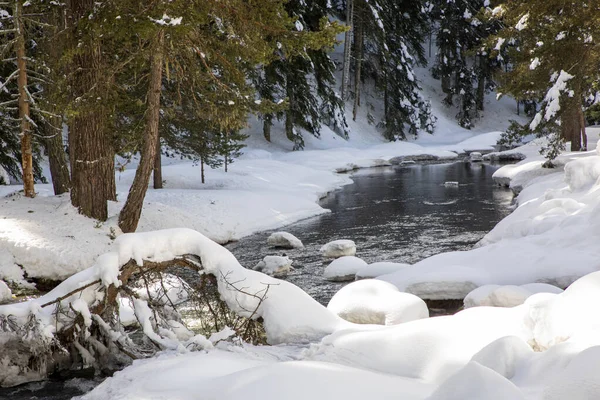 Stream Flowing Forest Snowy Winter Season Bolu Turkey — Zdjęcie stockowe