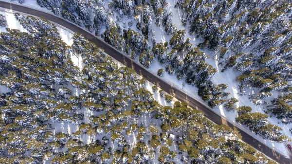 Aerial View Snowy Winter Landscape Drone Road Passing Forest Snowy — Stok fotoğraf