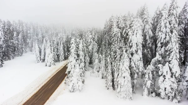 Road Foggy Landscape Frozen Trees Forest Winter Bolu Turkey — Stok fotoğraf