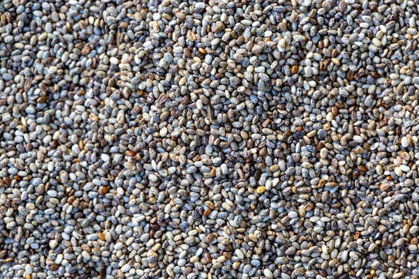 Chia tohum. Sağlıklı superfood.