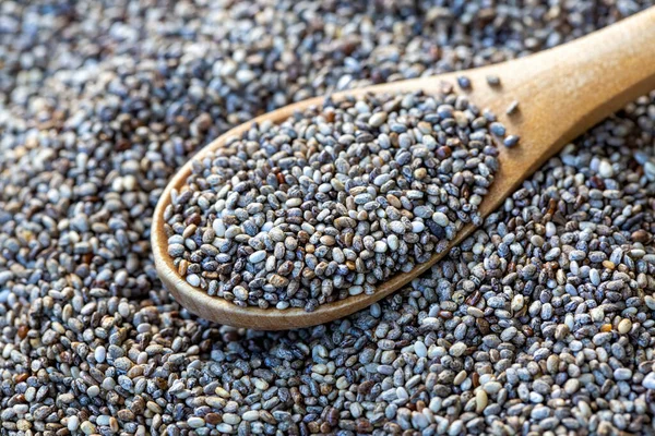 Chia Tohum Sağlıklı Superfood — Stok fotoğraf