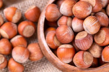 Shelled Hazelnuts is important for health on the wooden background