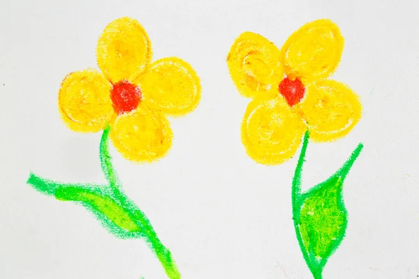 Floral daisy painting with pastel painted pencil