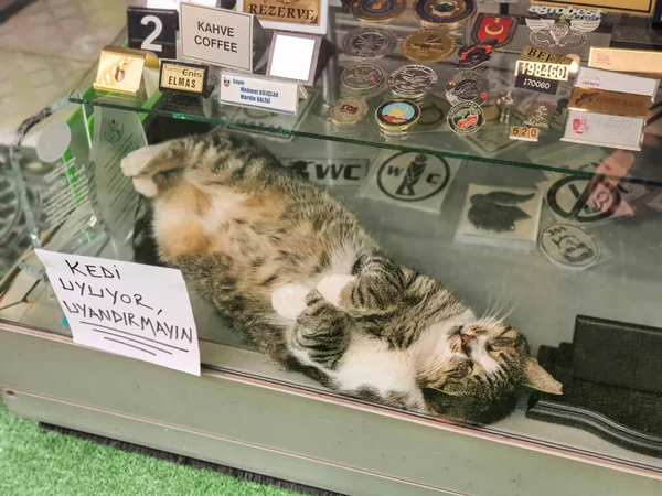 Kemeralti Konak Izmir Turki September 2020 Seekor Kucing Tidur Jendela — Stok Foto