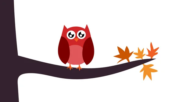 Owl Tree Branch Autumn — Zdjęcie stockowe