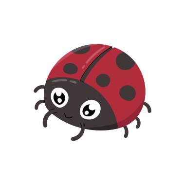 Cute Lady bug animal cartoon character isolated on white background.