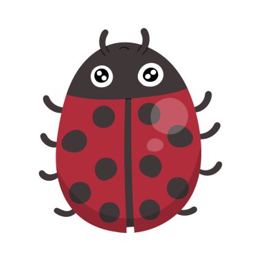 Cute Lady bug animal cartoon character isolated on white background.