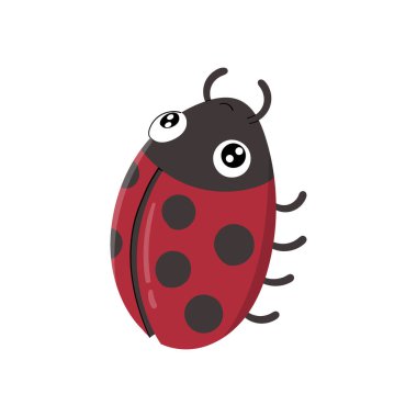 Cute Lady bug animal cartoon character isolated on white background.