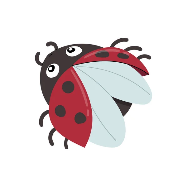 Cute Lady Bug Animal Cartoon Character Isolated White Background — 스톡 사진