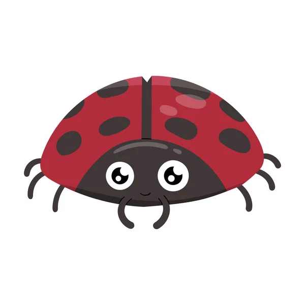 Cute Lady Bug Animal Cartoon Character Isolated White Background — Stock Fotó