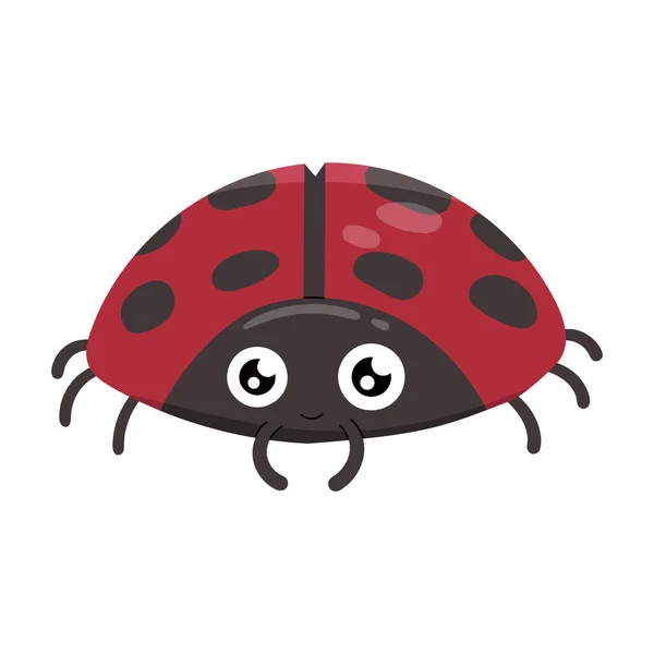 Cute Lady Bug Animal Cartoon Character Isolated White Background — Stockfoto