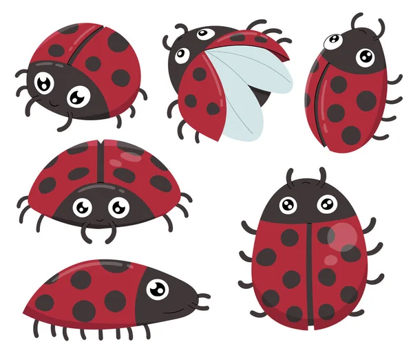 Cute Lady Bug Animal Cartoon Character Isolated White Background — Photo