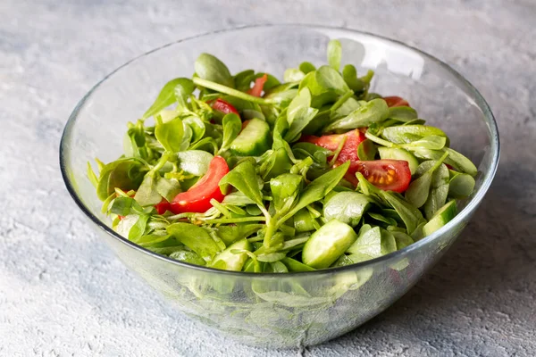 Porlasztókrémes Saláta Sajtgolyókkal Olívabogyóval Egészséges Diétás Saláta — Stock Fotó