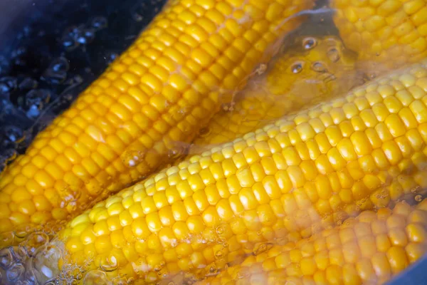 Mais Sulla Pannocchia Bollente Una Pentola — Foto Stock